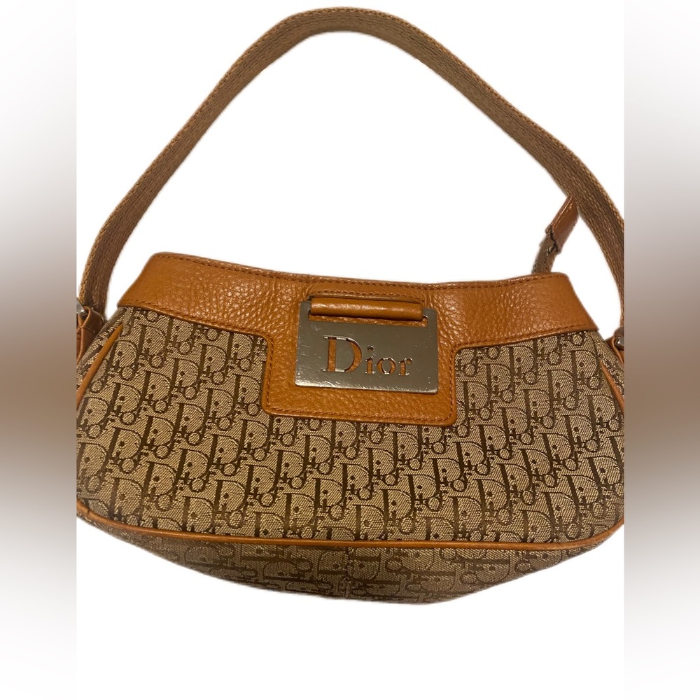 Dior chic trotter city bag